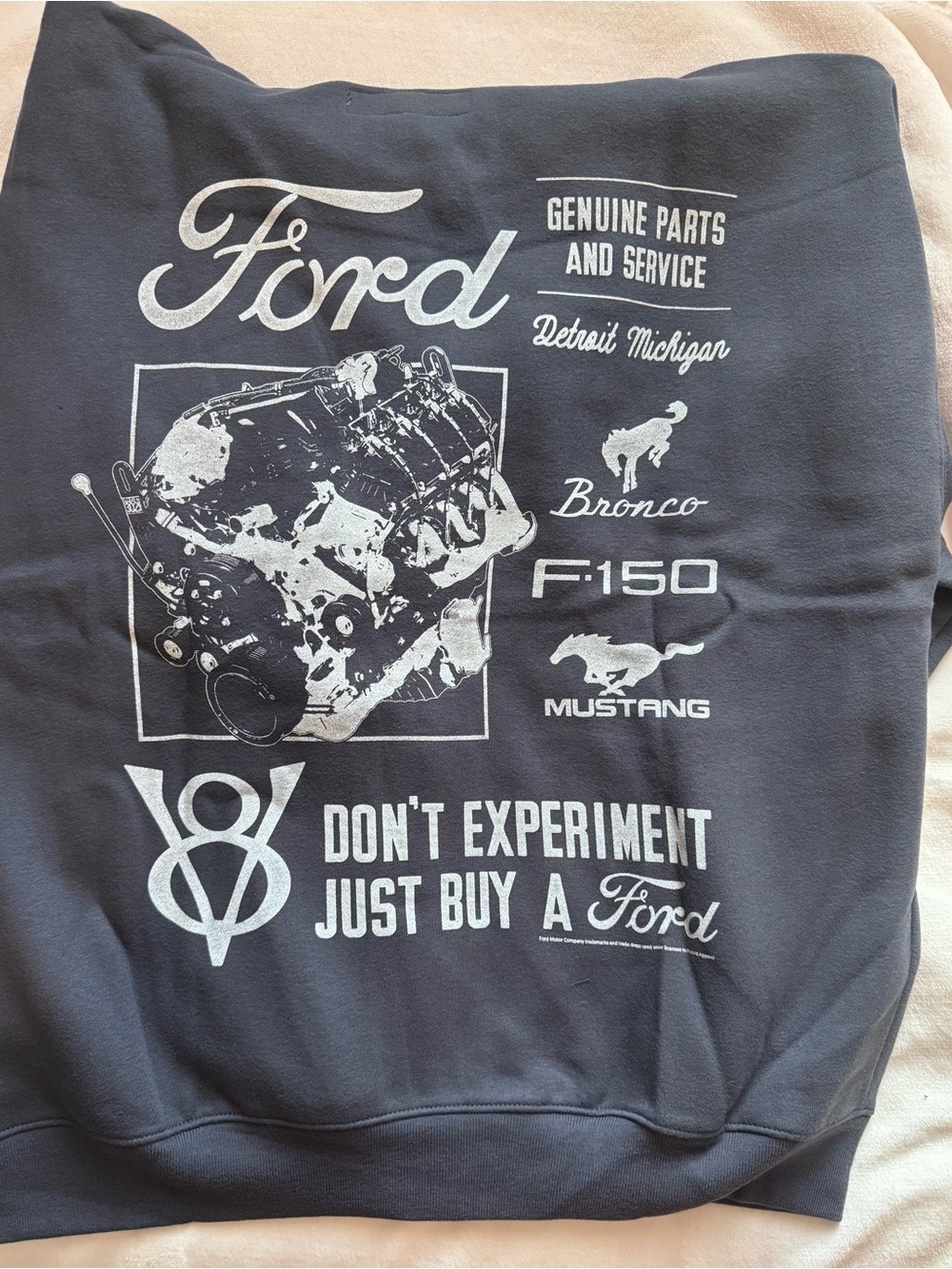 Hollister Ford Graphic Zip Hoodie